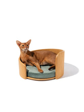 abyssinian-cat-lying-on-side-in-medog-green-kamamuta-cuddle-pet-bed-on-white-background